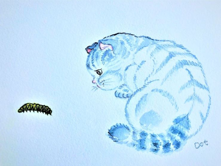 A crouching blue cat is closely examining a centipede